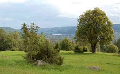 finnsam