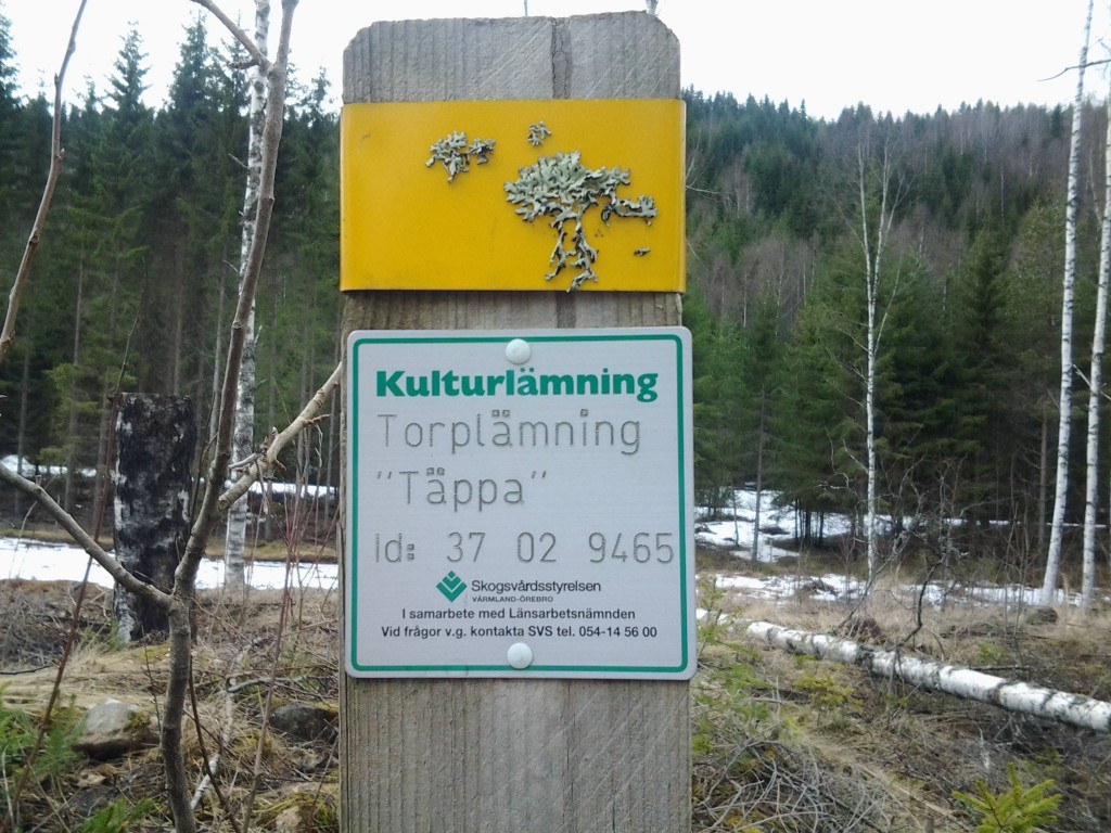 Soikkainens täppa