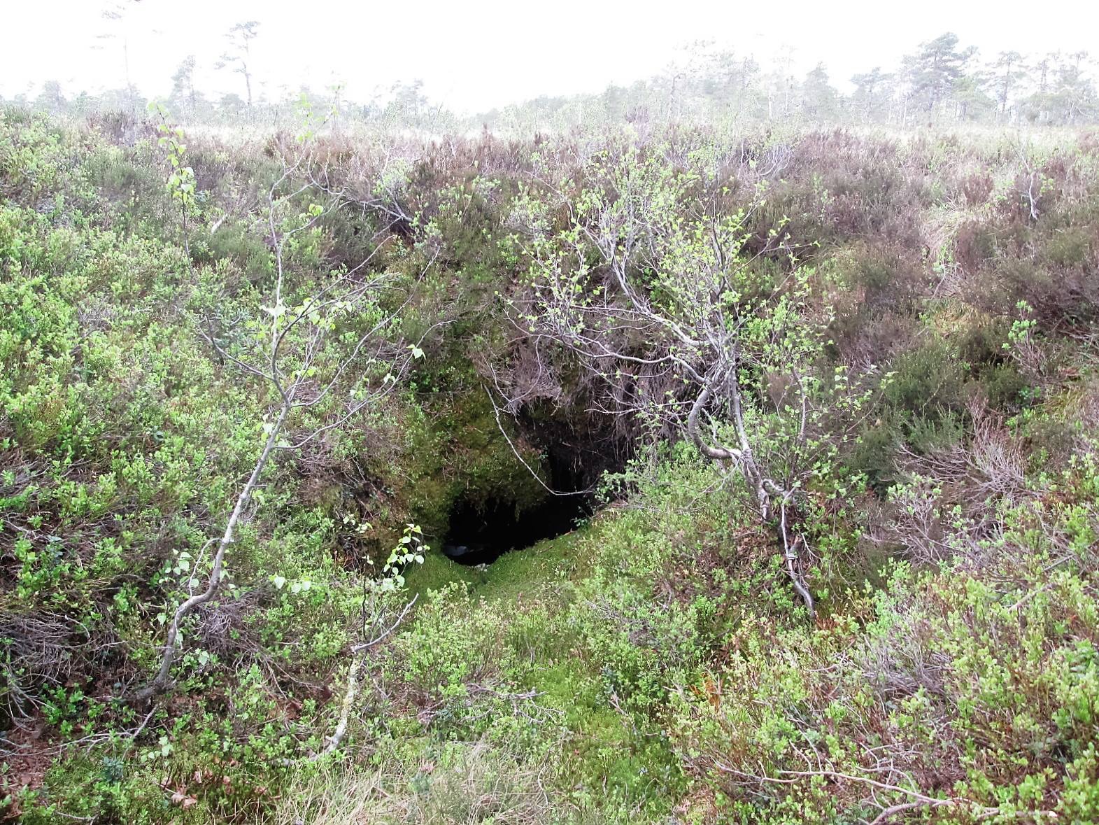 Undergången